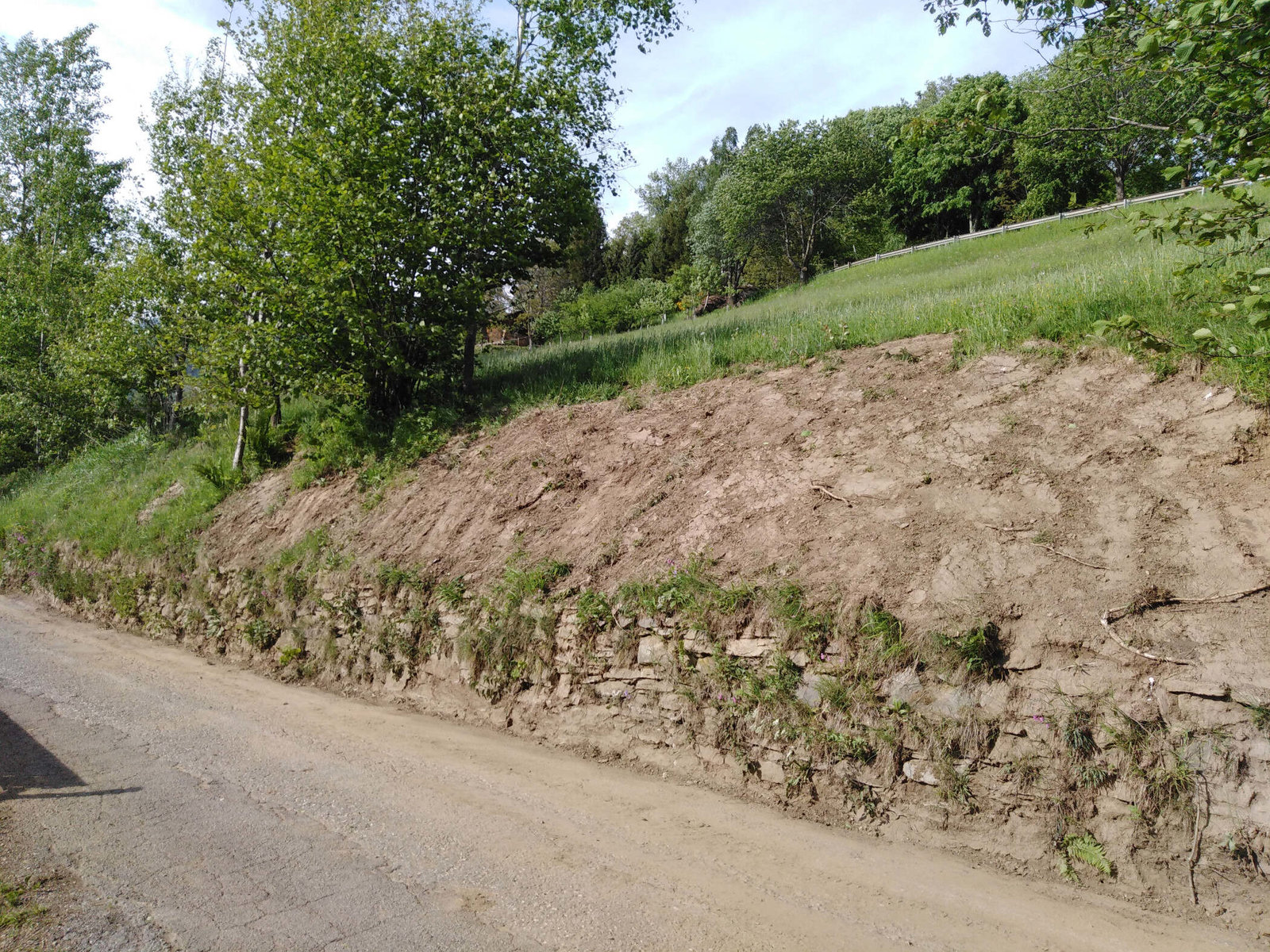 Abbrucharbeiten von Erdbewegung Oberwandling